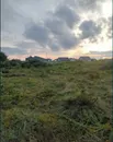Фото компанії Обрізка дерев