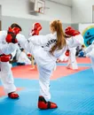 Фото компанії Royal Team Taekwon-do