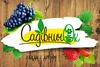 Логотип компанії Магазин "СадівничОк"