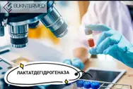 Фото компанії Медична лабораторія ТОВ "БУКІНТЕРМЕД"