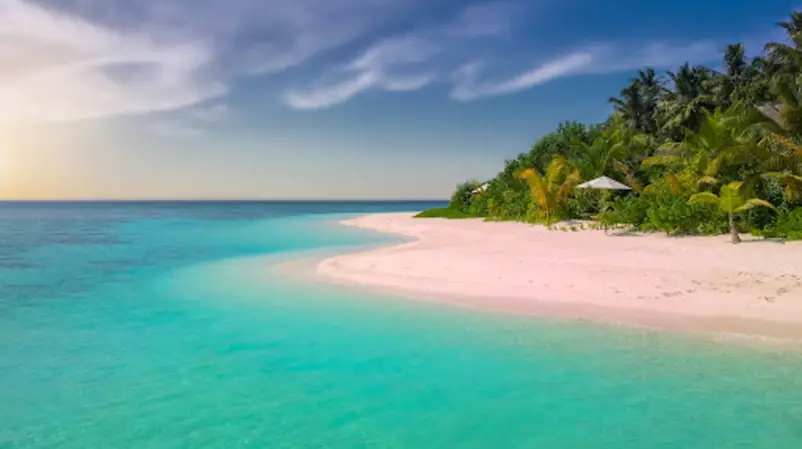 Фото компанії Туристична компанія "La Mer-Travel"