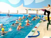 Фото компанії Басейн "Дельфін"