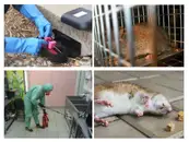Фото компанії ПРОФДЕЗІНФЕКЦІЯ-М