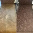 Фото компанії Клінінгова компанія "BusyBee"