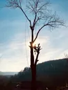 Фото компанії Woodmanservice