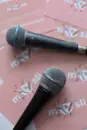 Фото компанії Вокальна студія "MusLi"