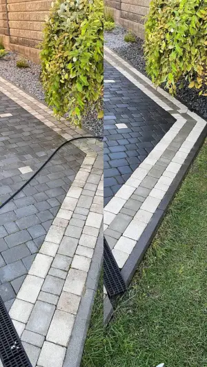 Фото компанії Клінінг вашого двору