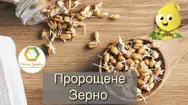 Фото компанії КоМоРа здоров'я