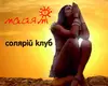Логотип компанії Солярій клуб "Майямі"