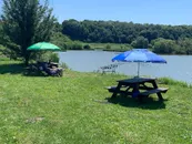 Фото компанії Альтанки біля ставу