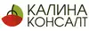 Логотип компанії Калина Консалт