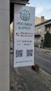 Фото компанії Рослина Карпат