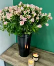 Фото компанії Beauty of Flowers